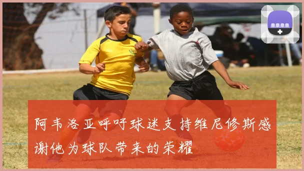 阿韦洛亚呼吁球迷支持维尼修斯感谢他为球队带来的荣耀