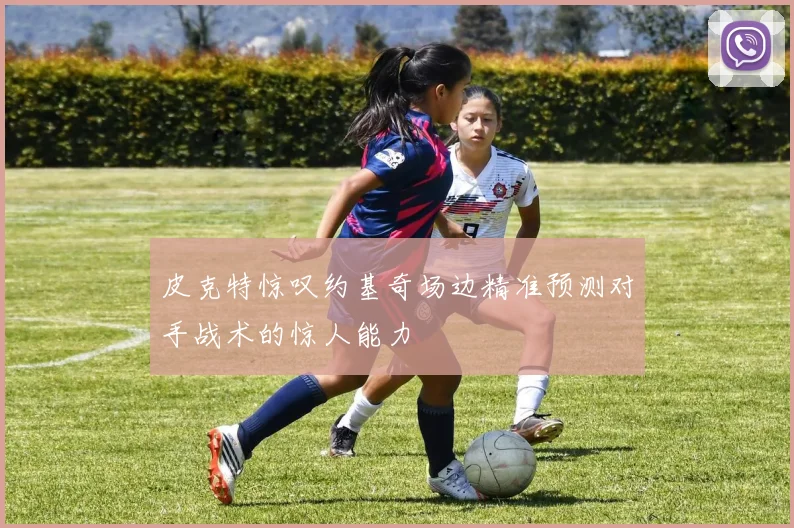 皮克特惊叹约基奇场边精准预测对手战术的惊人能力